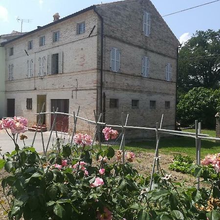 Casa Vacanze Da Peppa Grottazzolina Extérieur photo