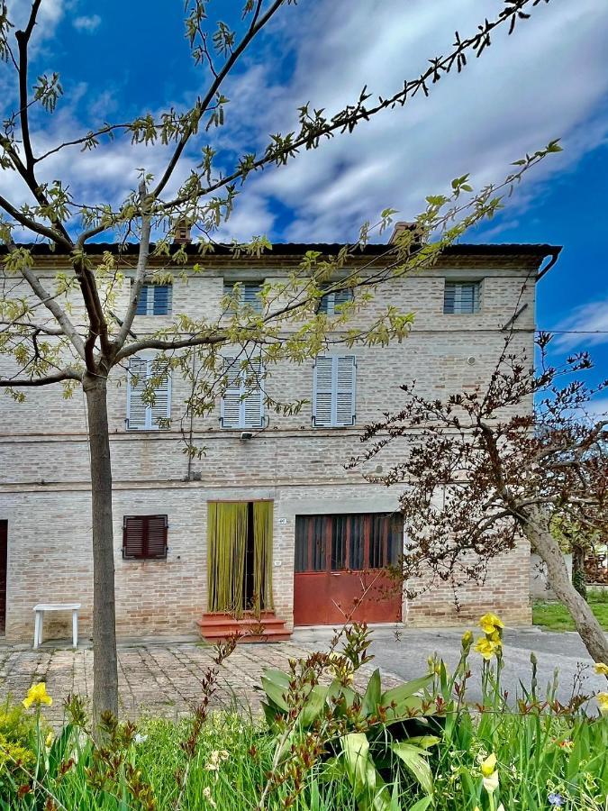 Casa Vacanze Da Peppa Grottazzolina Extérieur photo