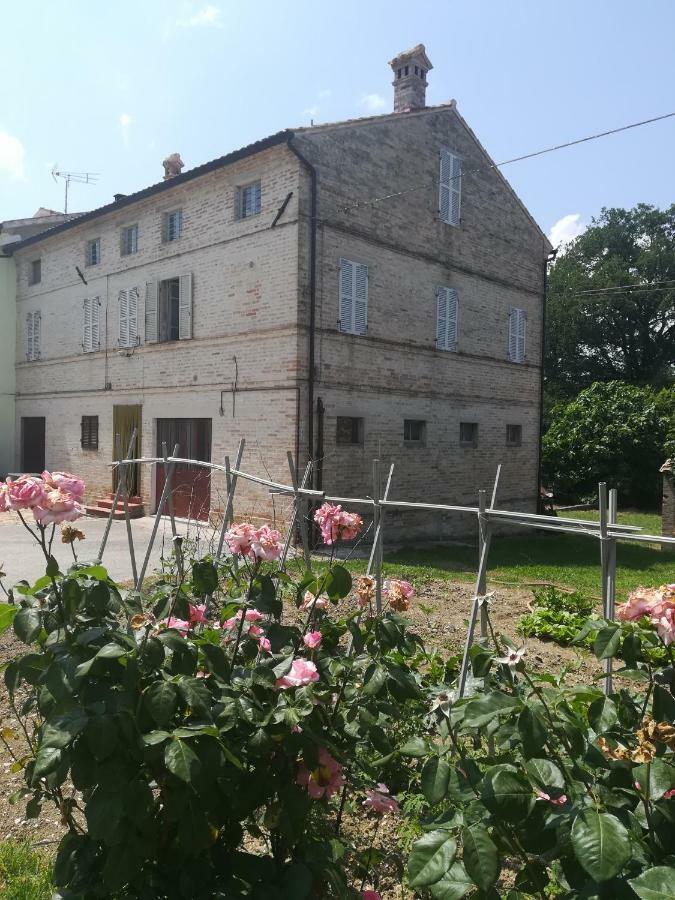 Casa Vacanze Da Peppa Grottazzolina Extérieur photo